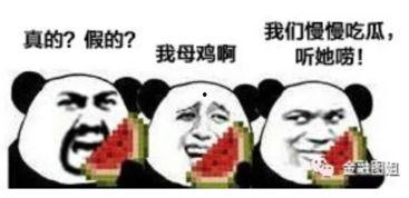 反差吃瓜爆料在线播放,揭秘娱乐圈背后的真实故事