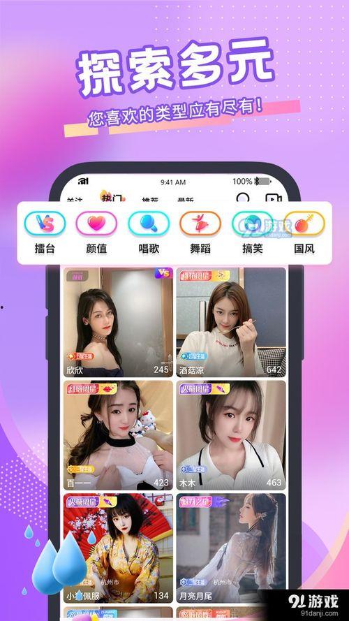 91直播电脑版,全方位解析与深度体验